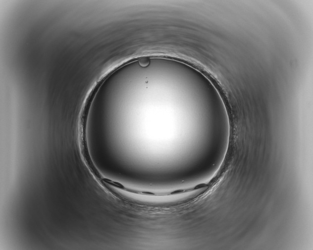 X0000096411517200801311342