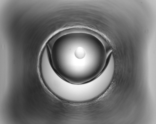 X0000096411518200801311342
