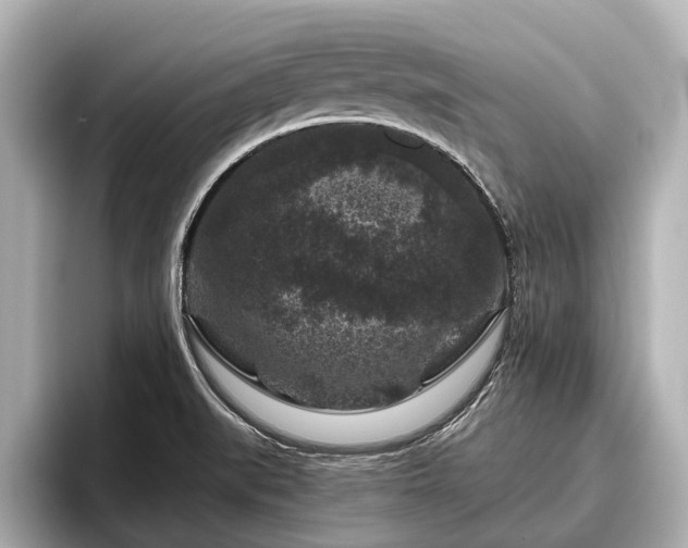 X0000096411519200801311342
