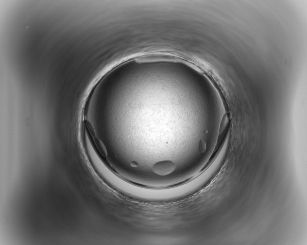 X0000096411520200801311342