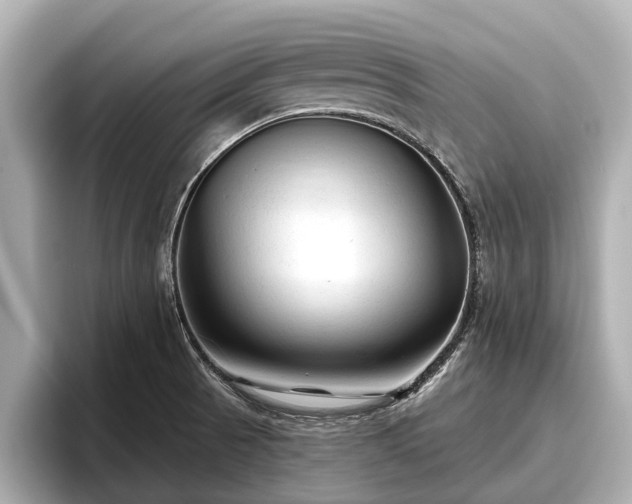 X0000096411521200801311342