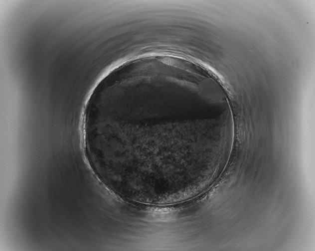 X0000096411522200801311342
