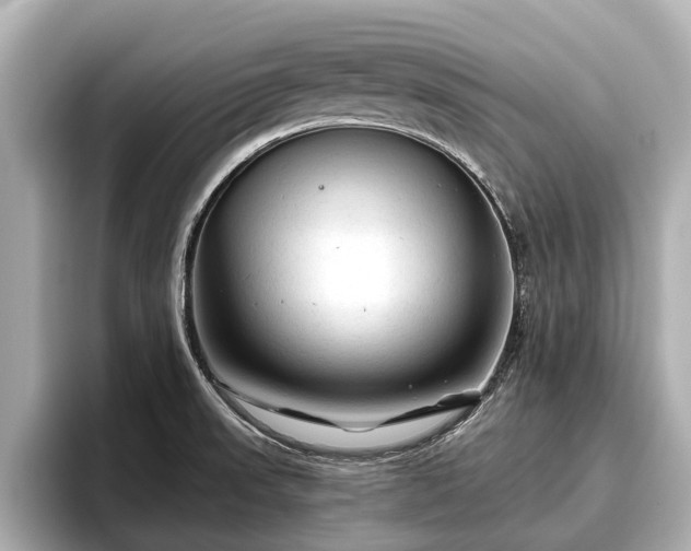 X0000096411523200801311342