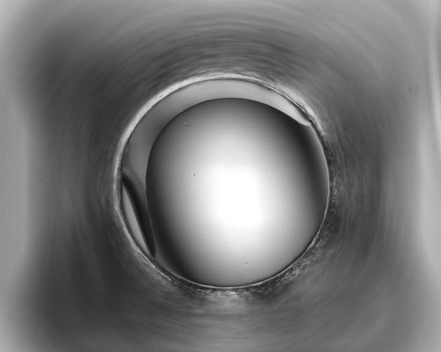 X0000096411524200801311342