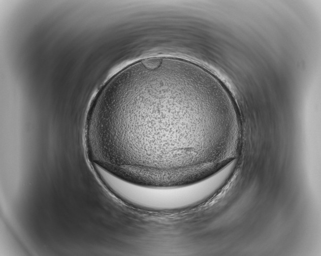 X0000096411525200801311342