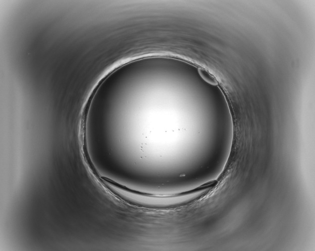 X0000096411526200801311342