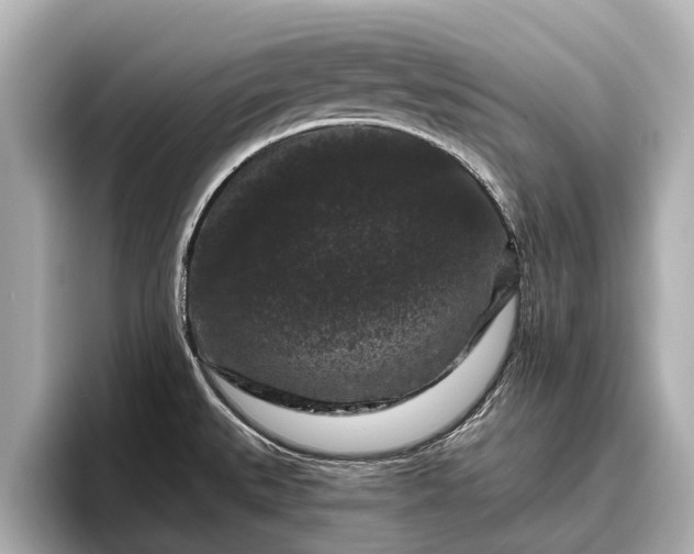 X0000096411527200801311342