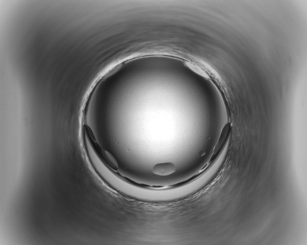 X0000096411528200801311342