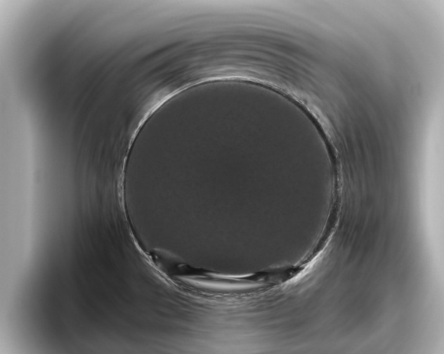 X0000096411529200801311342