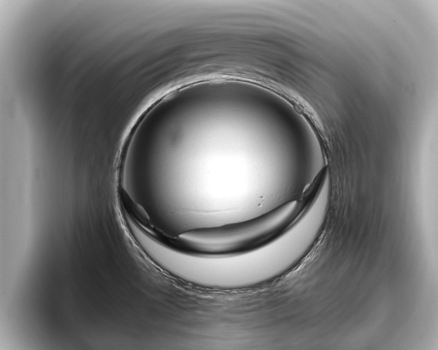 X0000096411530200801311342