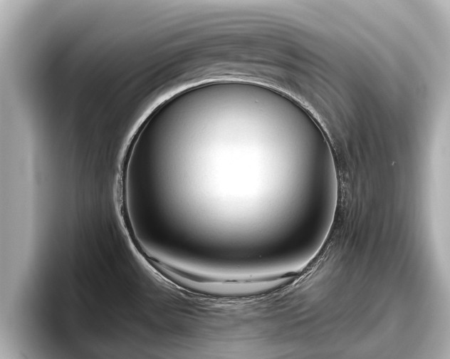 X0000096411531200801311342