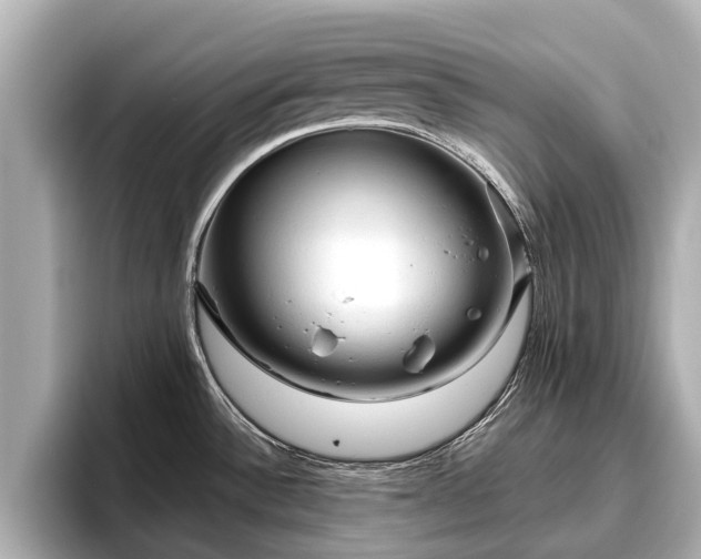 X0000096411532200801311342