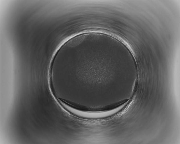 X0000096411533200801311342