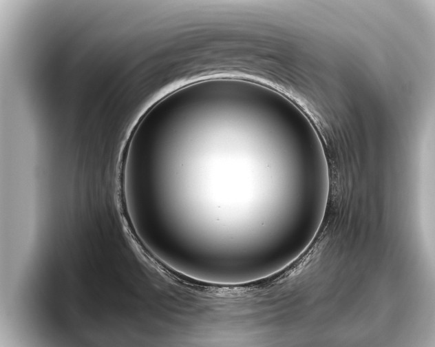 X0000096411534200801311342
