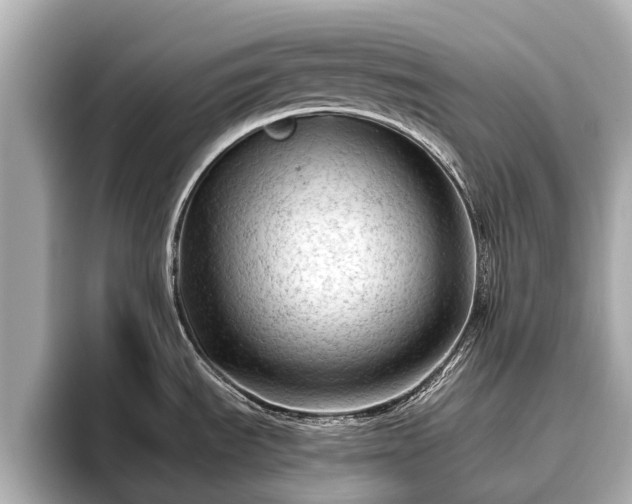 X0000096411535200801311342