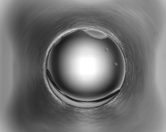 X0000096411536200801311342