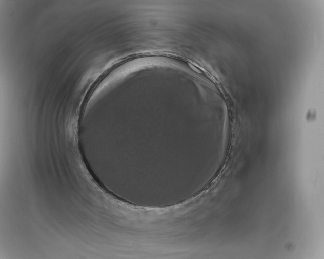 X0000096410002200802071704