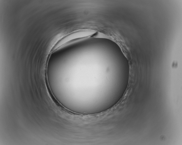 X0000096410003200802071704