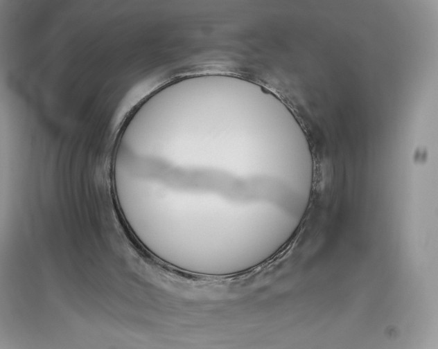 X0000096410004200802071704