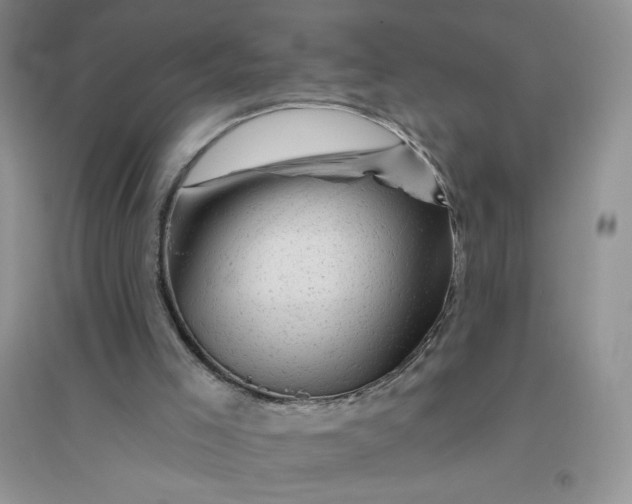 X0000096410005200802071704