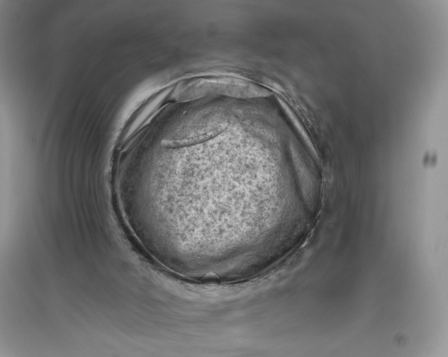 X0000096410006200802071704