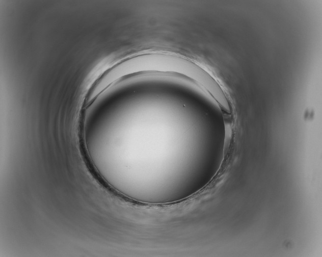 X0000096410007200802071704