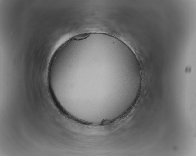 X0000096410008200802071704