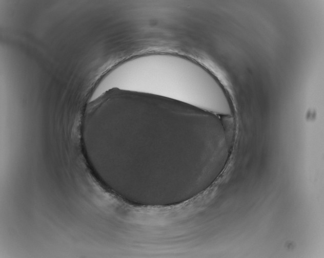 X0000096410009200802071704