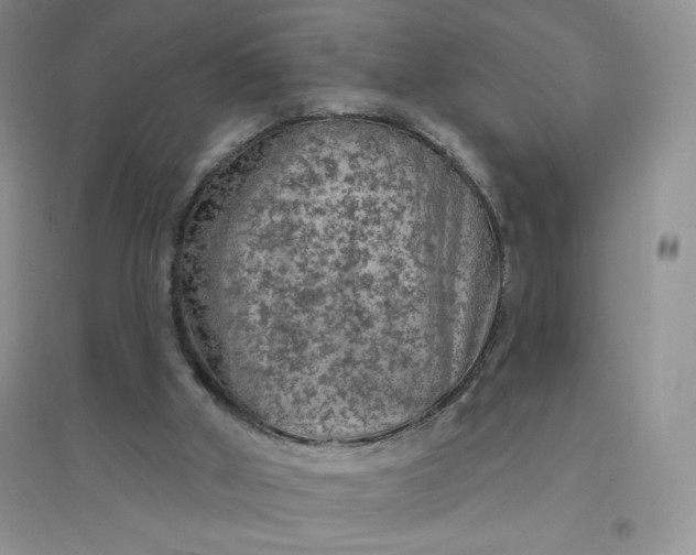 X0000096410010200802071704