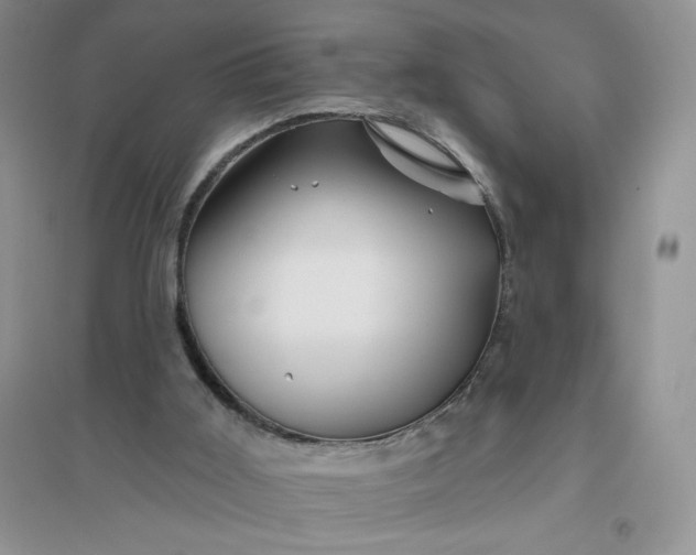 X0000096410011200802071704