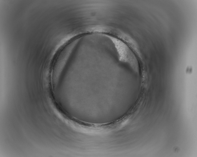 X0000096410012200802071704