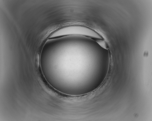 X0000096410013200802071704