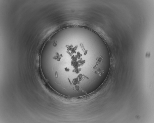 X0000096410014200802071704