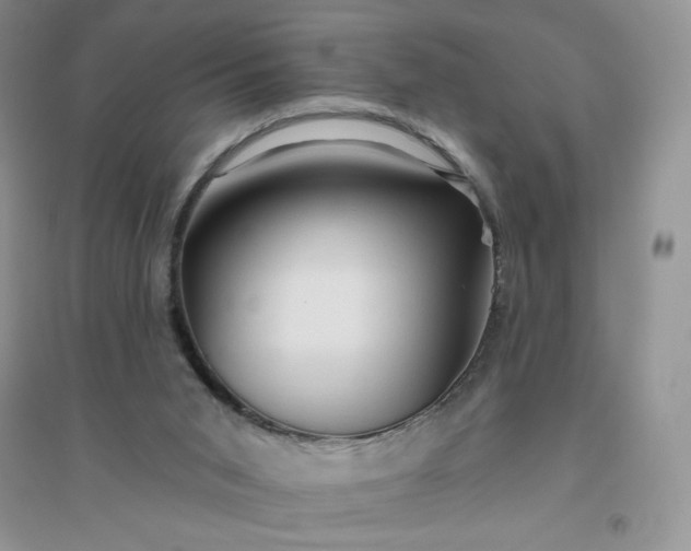 X0000096410015200802071704