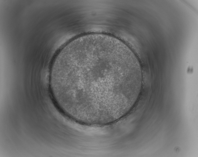 X0000096410016200802071704