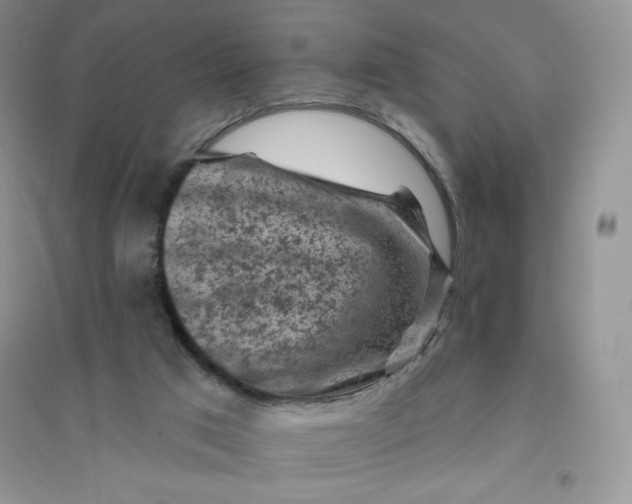 X0000096410017200802071704