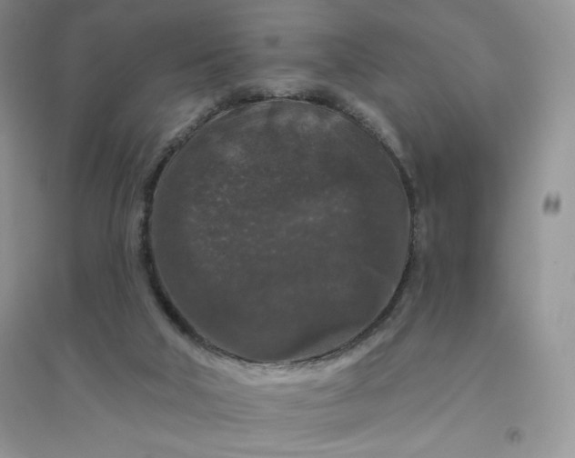 X0000096410018200802071704