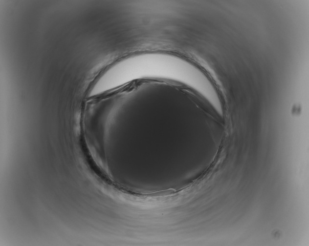 X0000096410019200802071704