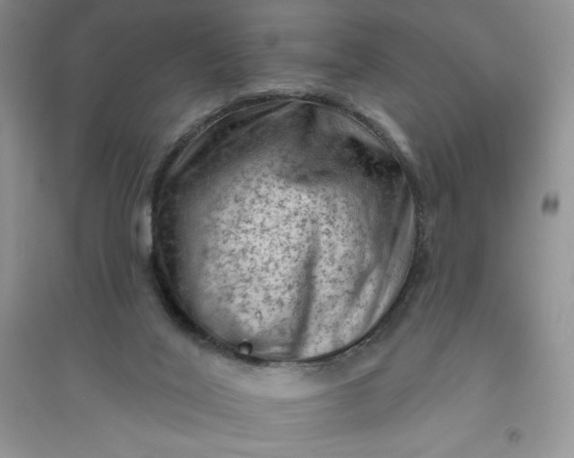 X0000096410020200802071704