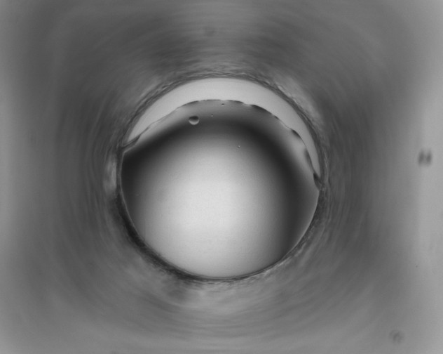 X0000096410021200802071704