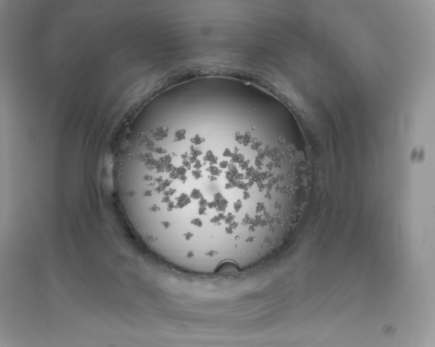 X0000096410022200802071704