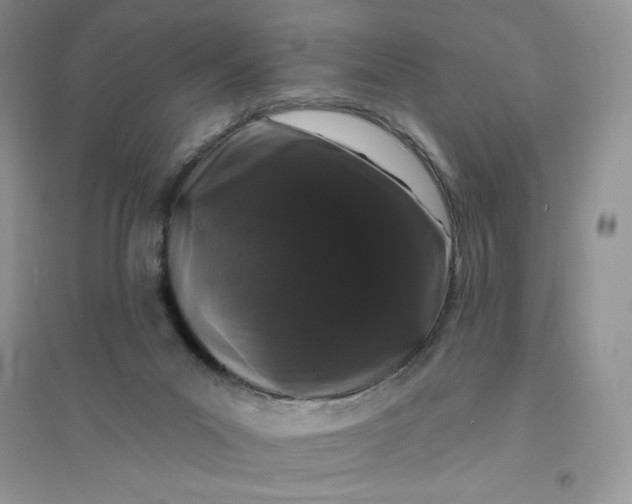 X0000096410023200802071704