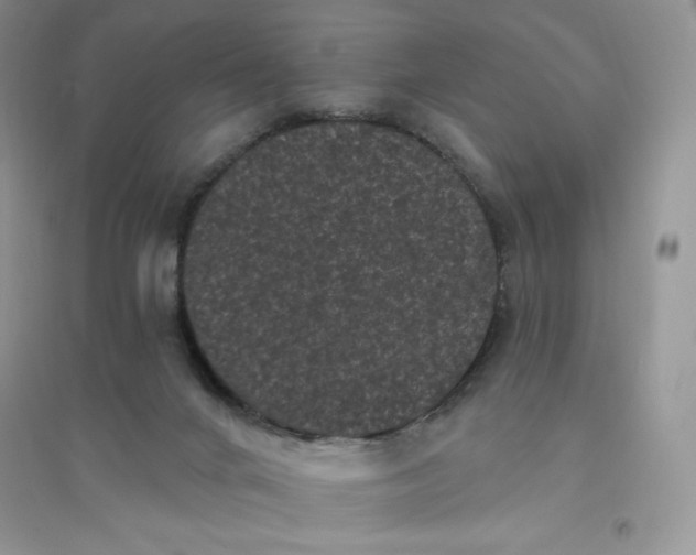 X0000096410024200802071704