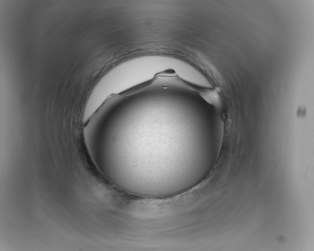 X0000096410025200802071704