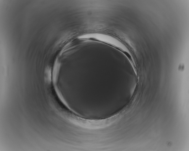 X0000096410027200802071704