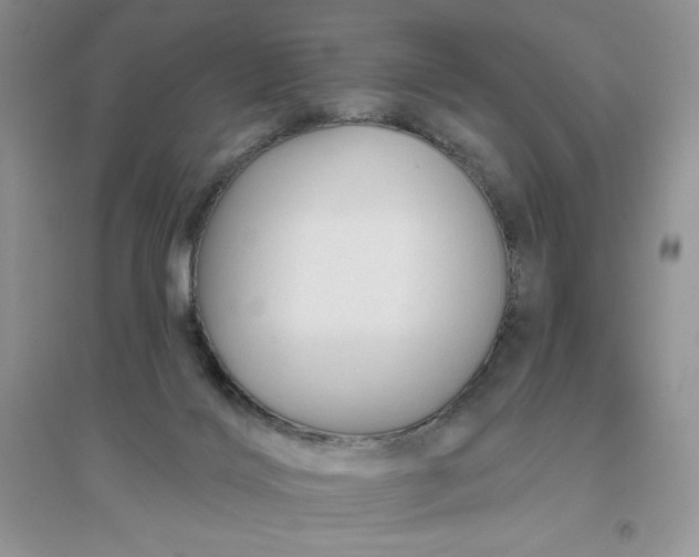 X0000096410028200802071704