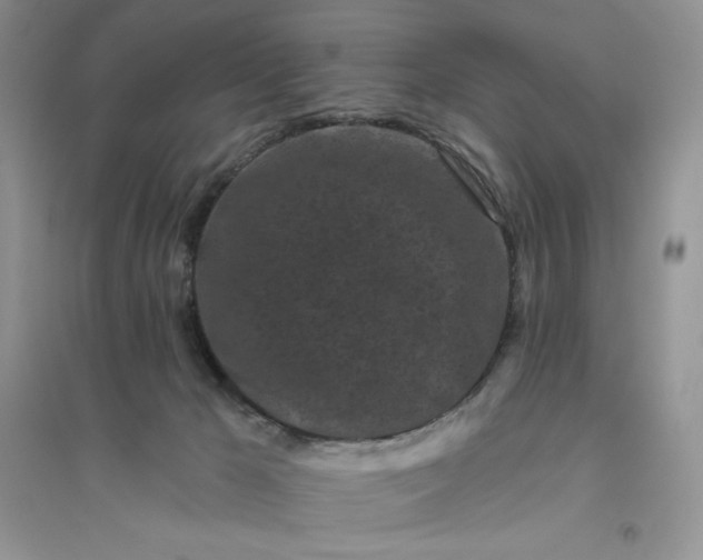 X0000096410029200802071704