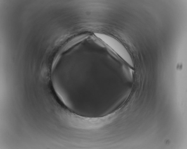 X0000096410031200802071704