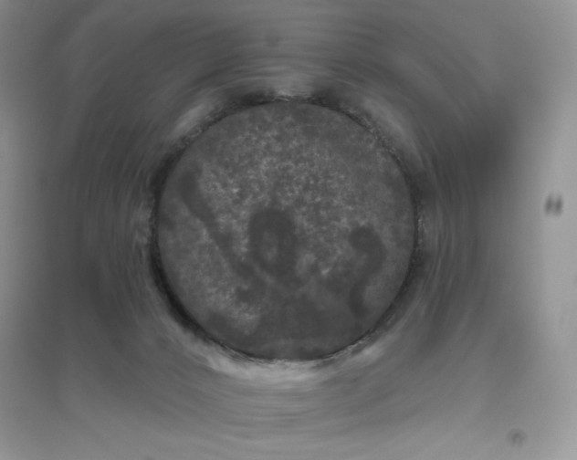 X0000096410032200802071704