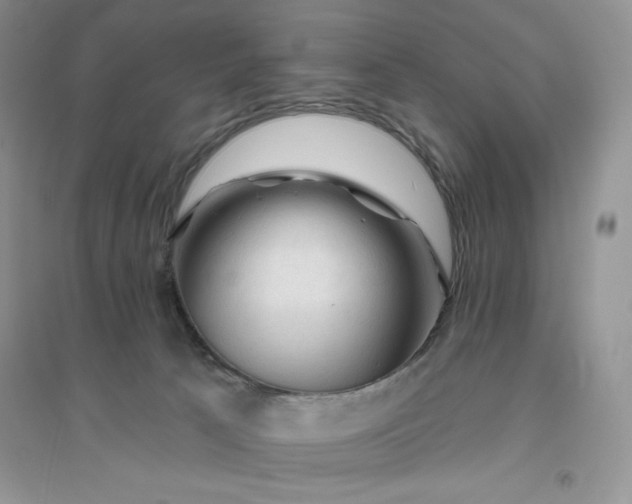 X0000096410033200802071704